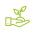noun_growth_1921444-1
