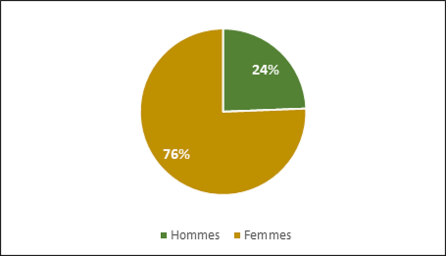 Rapport Chiffres 2017 du CCIB