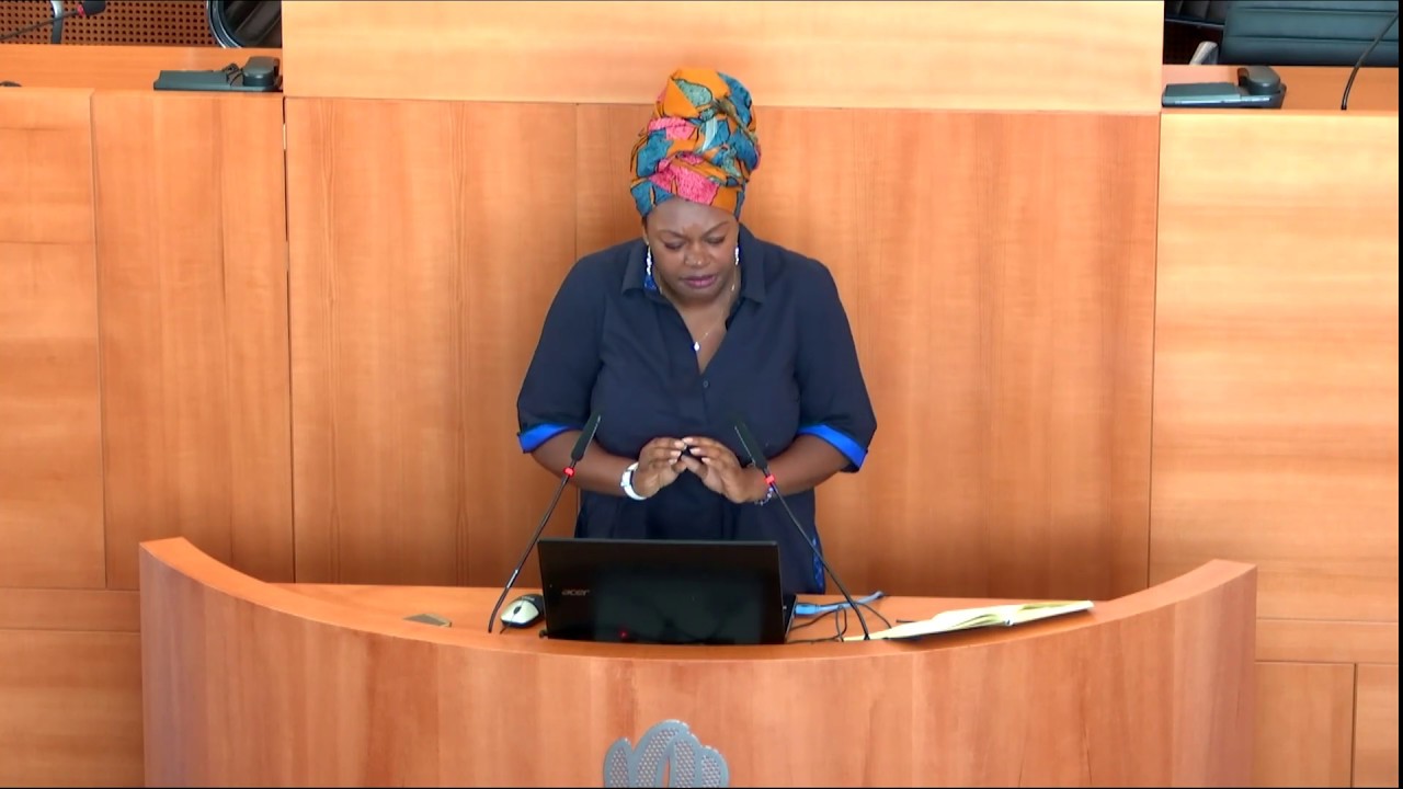 SBAHI – 2018 – Mireille-Tsheusi ROBERT – « Discriminations aux subsides »